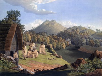 5. tábla Richard Barron „Nézet Indiában, főként a Neelgherry -hegyek között” című művéből alkotó: Richard Barron